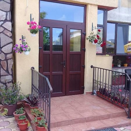 Vila Casa Radu Hotel Constanţa Eksteriør billede